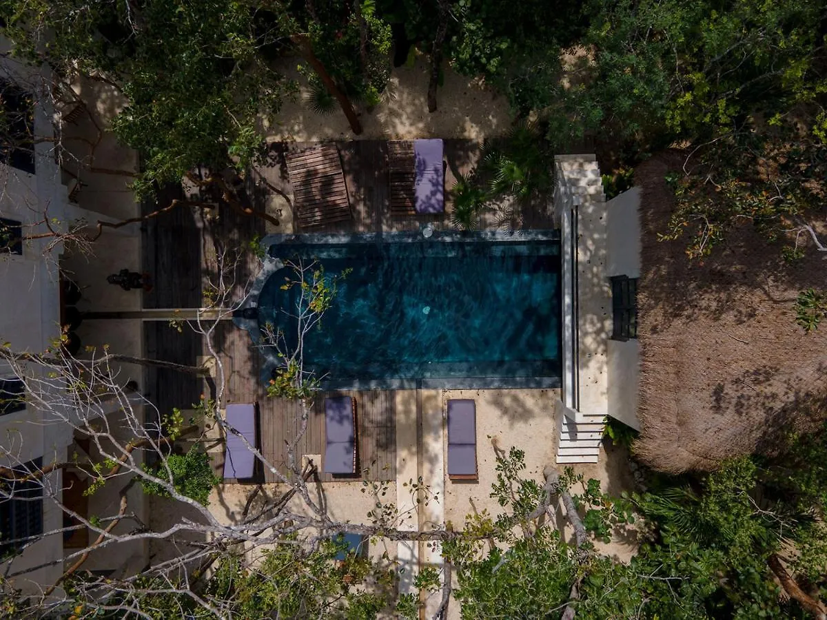 Moroccan Vacation Home For 16 Guests! Tulum 0*,